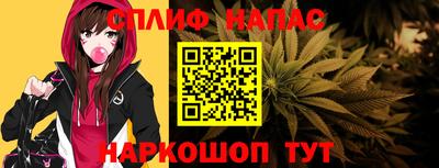 apvp Ярославль