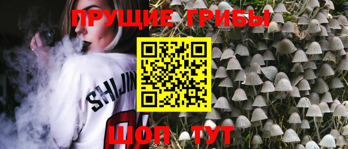 Псилоцибиновые грибы мухоморы Сургут